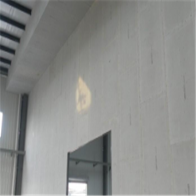 阆中宁波ALC板|EPS加气板隔墙与混凝土整浇联接的实验研讨